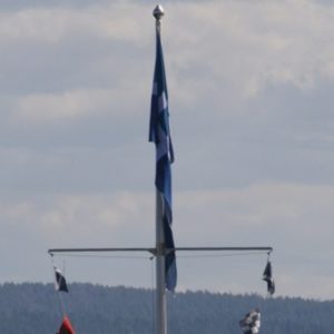 Salingshorn