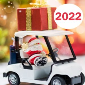 Julegaver 2022