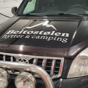 Bildekor Beitostølen Hytter og Camping