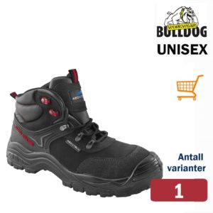 2265 AboutBlu Safhir skolett