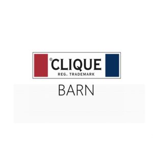 Clique Junior