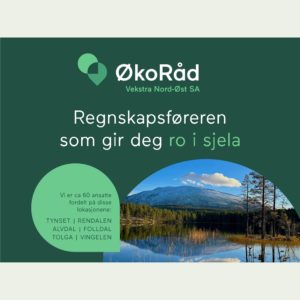 Skjermreklame Hemmat i Trondheim